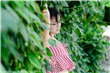 樱花动漫官网